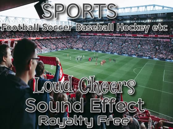 サッカー 野球 バスケ ホッケーなどのスポーツ歓声 効果音 01
