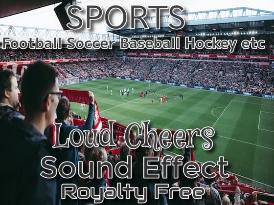 サッカー 野球 バスケ ホッケーなどのスポーツ歓声 効果音 02 ゴール! 惜しい! ホームランか!?